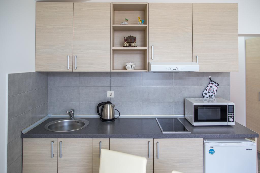 Apartments Vila Masha Petrovac エクステリア 写真