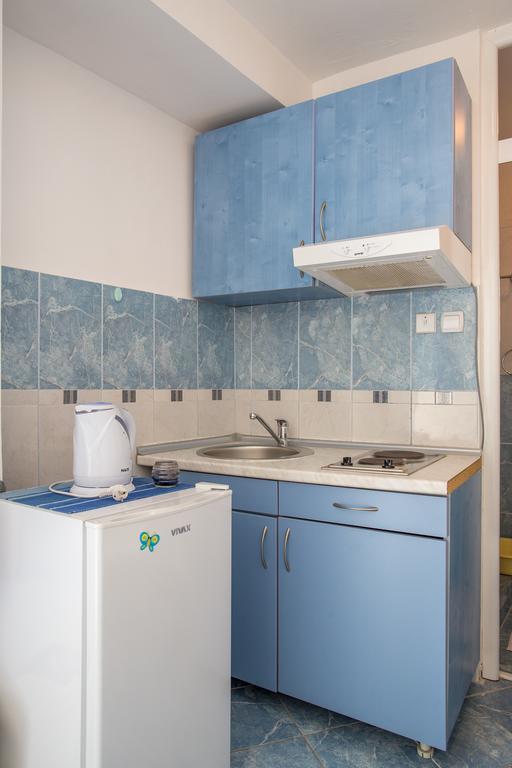 Apartments Vila Masha Petrovac エクステリア 写真